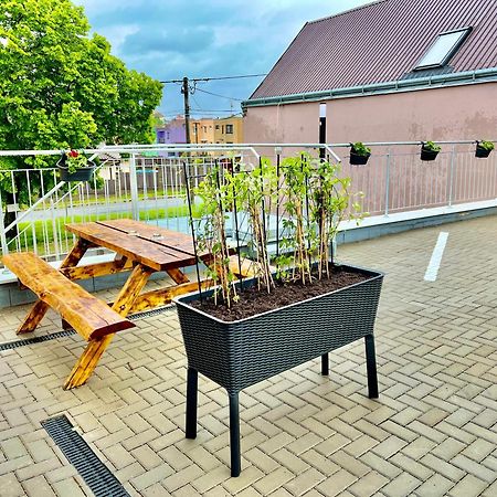 Penzion Bazen Vino Sklep U Palecku Zaječí Zewnętrze zdjęcie